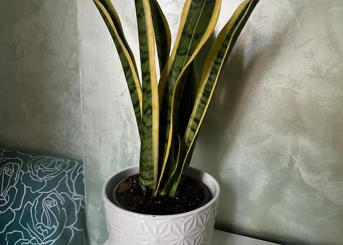 Casa Luciano Apartment Rom